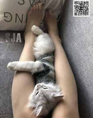 日本免费人成黄页网观看视频_4K在线观看高清